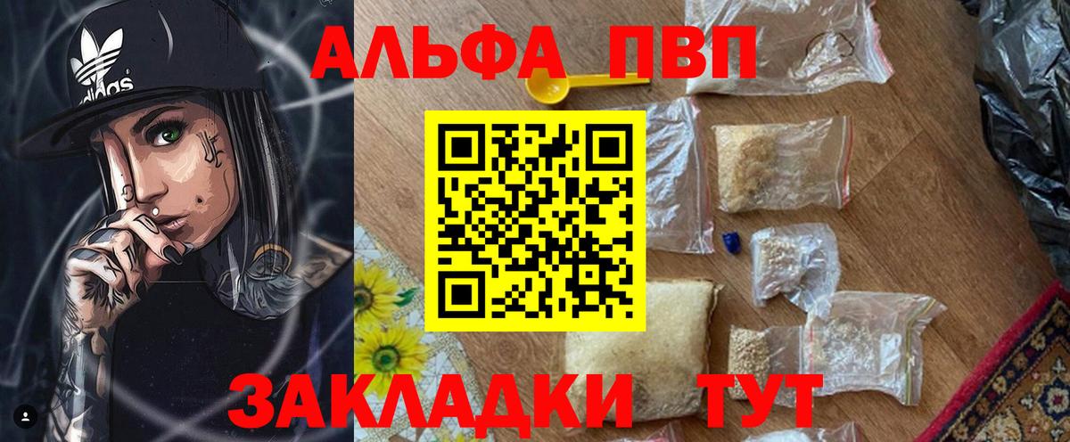 A PVP СК КРИС Лесосибирск