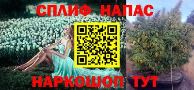 гидра Гусиноозёрск