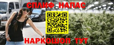 гидра Гусиноозёрск