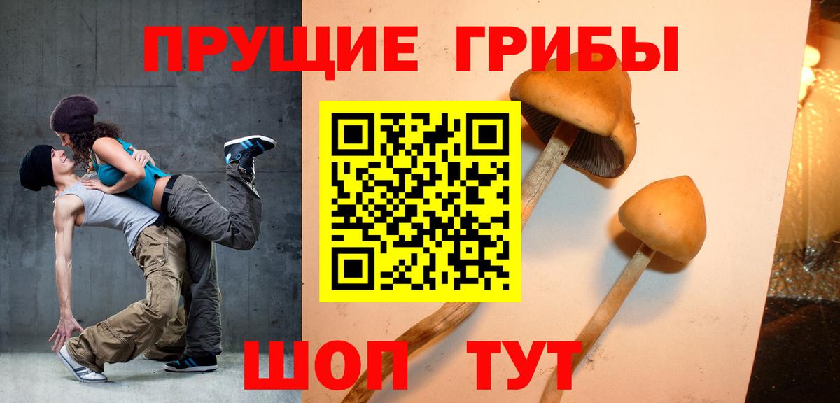 Псилоцибиновые грибы Magic Shrooms Лесосибирск