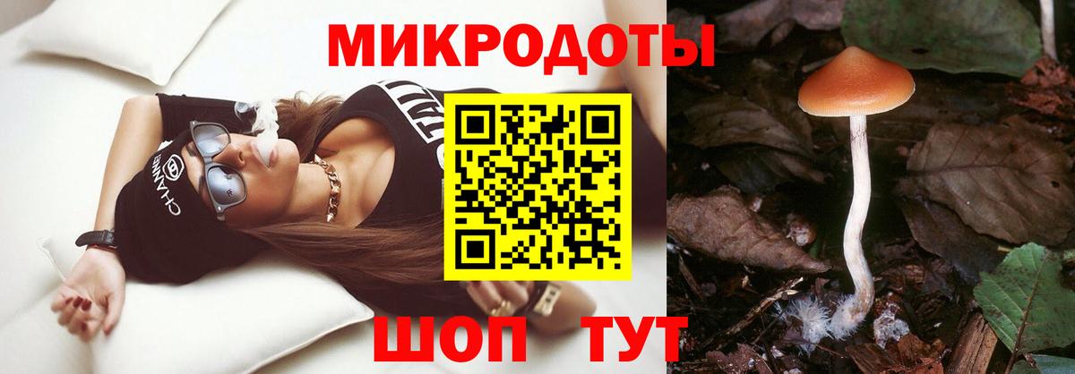 Галлюциногенные грибы Psilocybine cubensis  Вход с VPN  Лесосибирск 
